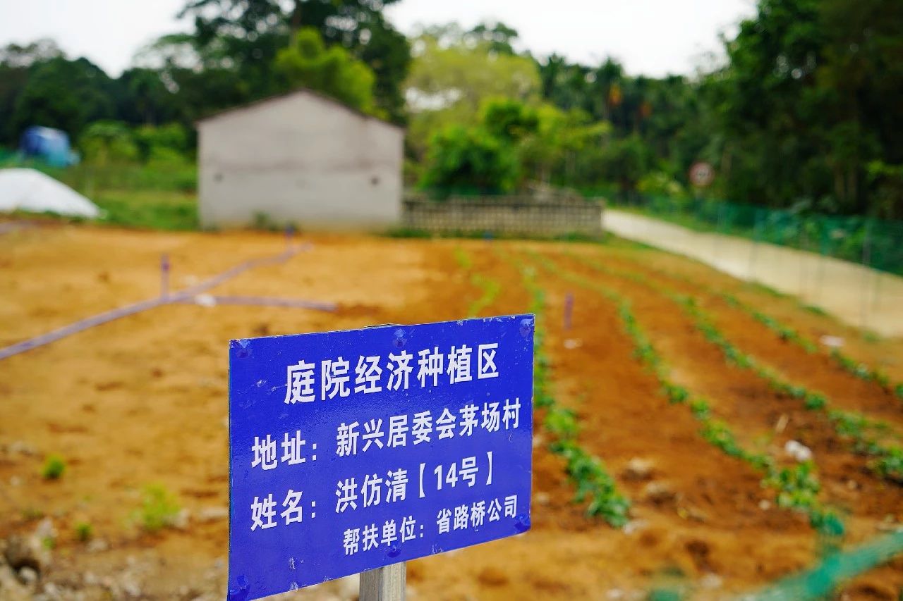 Z6尊龙旗舰厅(中国)官方网站