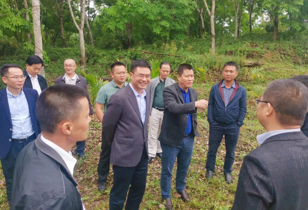 Z6尊龙旗舰厅(中国)官方网站